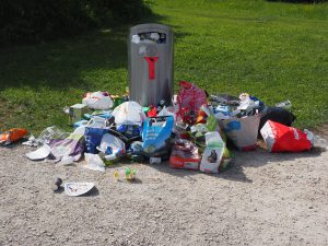 Jak zadbać o czystość swojej posesji?